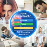Nootropic Brainpower & Memory Supplement Vitamin B6 & B12 for Improve Intelligence & Focus & Cognitive Clarity Brain Booster - Image 5