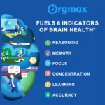 Nootropic Brainpower & Memory Supplement Vitamin B6 & B12 for Improve Intelligence & Focus & Cognitive Clarity Brain Booster - Image 2