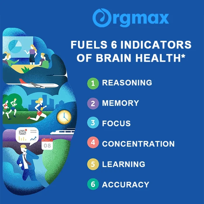 Nootropic Brainpower & Memory Supplement Vitamin B6 & B12 for Improve Intelligence & Focus & Cognitive Clarity Brain Booster - Image 2