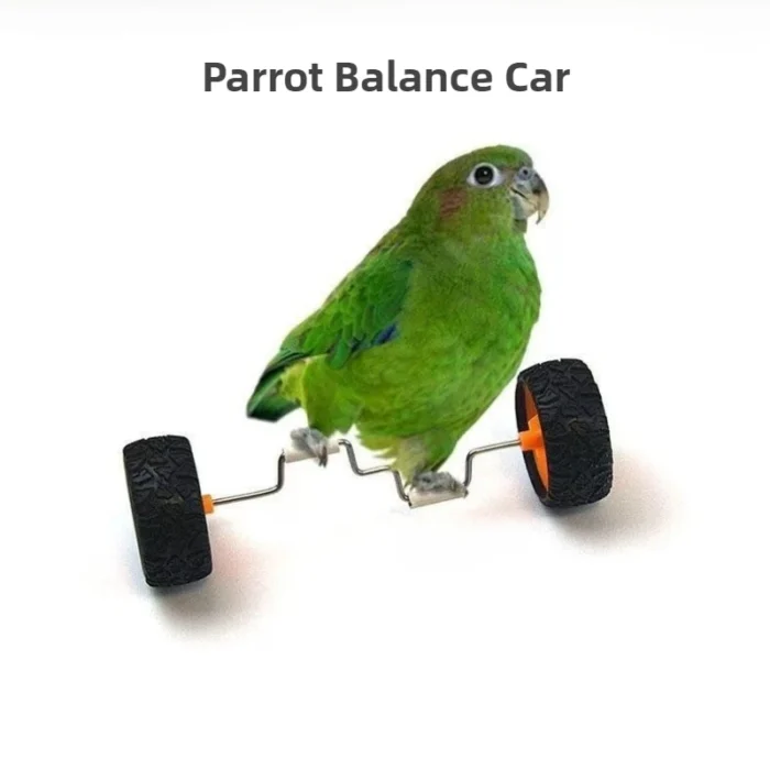 Creative Bird Parrot Balance Car Intelligence Training Toy Mini Bicycle Wheels Roller for Small Medium Birds Pet Supplies Toys - Image 2