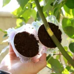 Wholesale High Pressure Propagation Root Growing Box Plant Rooting Ball Garden Reusable Cutting Grafting Ball Breeding Equipment - Image 2