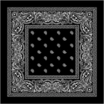 Hip Hop Ice Silk Skull Bandana, Square Scarf, Black and White Paisley, Multifunction Headband for Men and Women, New, 58x58cm - Image 5