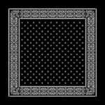 Hip Hop Ice Silk Skull Bandana, Square Scarf, Black and White Paisley, Multifunction Headband for Men and Women, New, 58x58cm