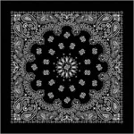 Hip Hop Ice Silk Skull Bandana, Square Scarf, Black and White Paisley, Multifunction Headband for Men and Women, New, 58x58cm - Image 2