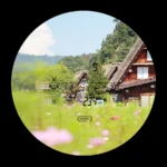 Discovery Camouflage Laser Rangefinder, 600, 800, 1200, 2000, 4000 Meters Upgraded Portable High Definition - Image 4