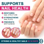 Multiple Collagen Complex - Types I, II, III, V, and X - Hair, Skin, Nail, Bones, Joint Health Support - Image 6